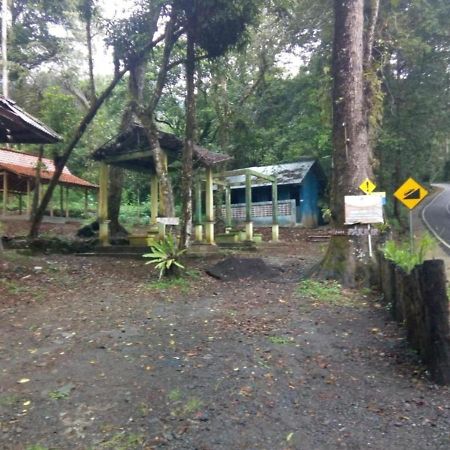 Ijen Mansjestic B&B Tamansuruh Exterior photo